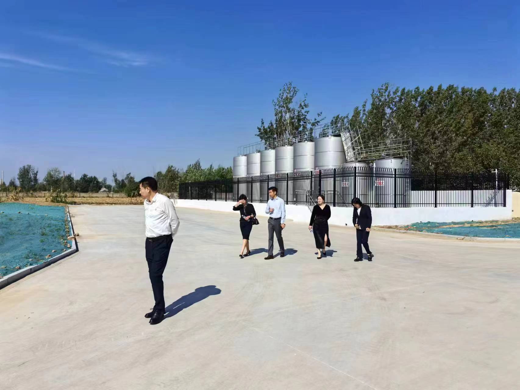 1696749316606475.jpg 1696749316606475.jpg